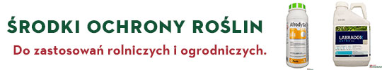 Glifosaty, herbicydy, fungicydy w ofercie agroromar.pl